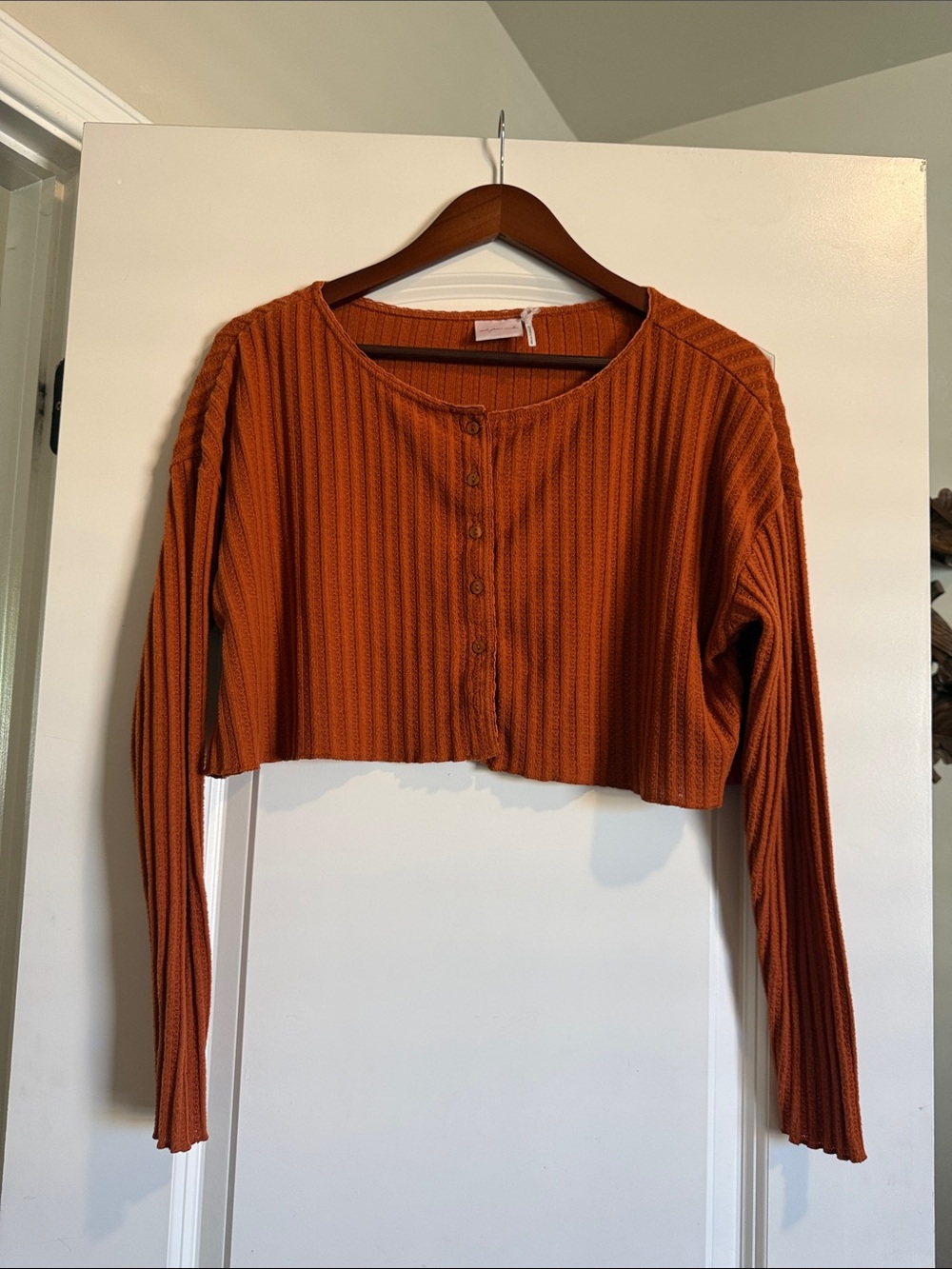 Urban Outfitters Rust Ribbed Cropped Button-Up Top